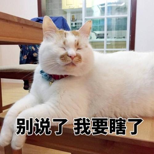 全身起鸡皮疙瘩头晕