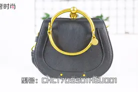 chloe蔻依NILE手镯包实拍测评，售价1.3W，究竟是否值得入手呢？视频封面