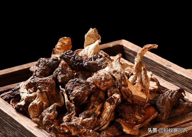 国宴第一道菜松茸花胶 2026年松茸花胶汤