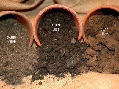 导致土壤透气性变差和有机质含量低的原因与解决方案