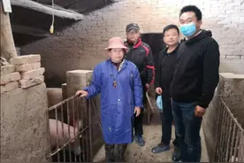 岐山县故郡镇：生猪养殖燃起脱贫致富新希望图片