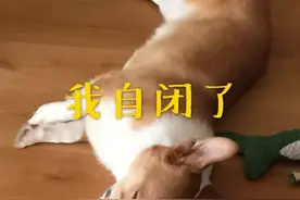 出生后亲生父母把我送给他人，现在又要与我相认，我有义务赡养他们吗？图片