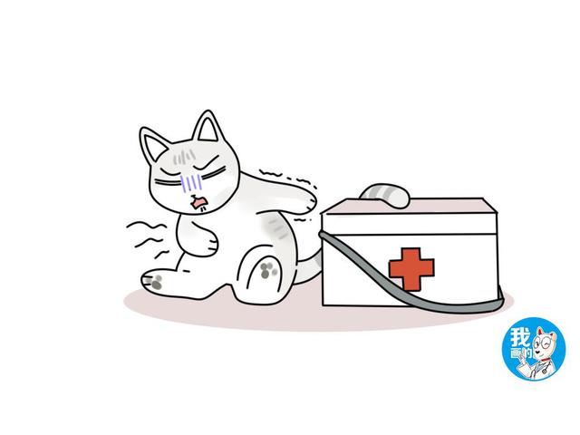 辟谣：猫咪不会流口水？有一种流口水叫多涎症，甚至会危及生命