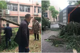 岳阳县一中全力抗灾救灾备战高考图片