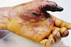 无知的钓鱼人，不想手被“扎成马蜂窝”，不要小瞧这6种鱼图片