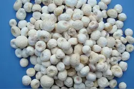 半夏可以说是止咳止呕的良药图片