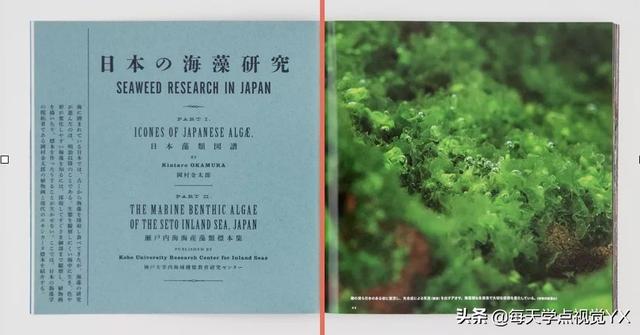 网页不会做，那是画册看得少（上）