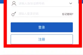 补换领机动车号牌  用交管“12123”  动动手指就搞定！图片