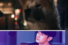 杨丞琳晒李荣浩与柴犬对比图，忧郁小眼睛神似，遭对方质问狗太多图片