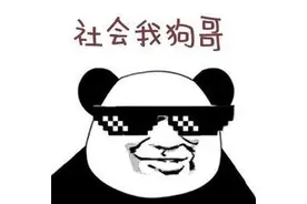 熊猫头戴墨镜表情包合集图片