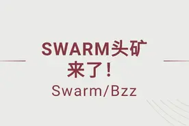 bzz一个电脑搭建100个节点技术！（包出票）图片