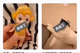 《快乐大本营》停播背后不为人知的内幕图片