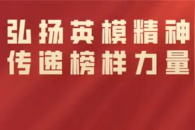 各区委政法委：一张蓝图绘到底，推进平安深圳建设再上新台阶图片