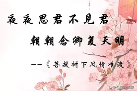枕上书续编5.翼君不知为何寻凤九，凤九下凡竟遇见三生石姻缘文昌图片
