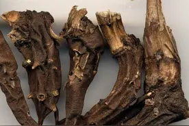 蒙汗药究竟是什么药？真有那种奇效？图片