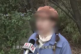 为了2800元，女子向大学副教授讨薪半年，聊天记录令人心酸视频封面