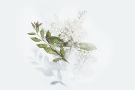 男人不联系你时，哭闹没用，这样做才是上策图片