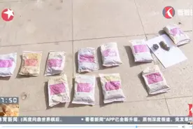有毒！上海破获夫妻档非法捕猎野鸭案，投放“克百威”终流向餐桌视频封面