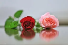 生活百科 小窍门：蝴蝶结怎么打图片