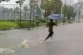 每日一笑：啥玩意“嗖”一下过去了，来将可留姓名图片