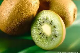 真全粮张思漫：果酒技术-猕猴桃酒的酿制方法及功效图片