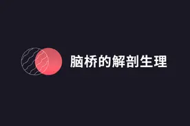 中枢神经系统疾病定位诊断图解——脑桥的解剖生理及定位诊断图片