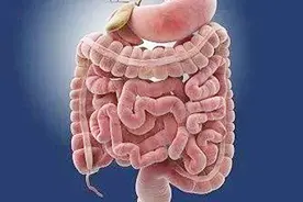 乙状结肠小息肉严重吗？医生是这样解答的！视频封面