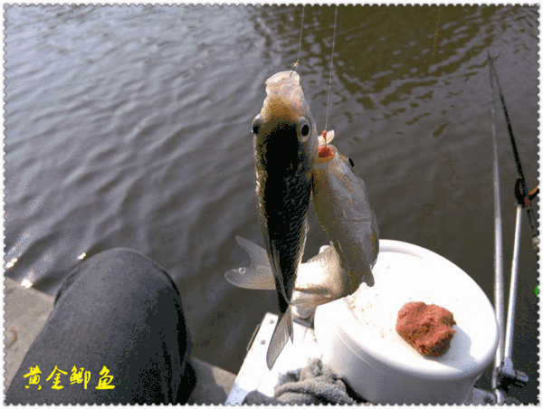 【文化节特辑】为期7天！6月1日-7日 2019·宜秀第三届龙舟文化节农耕体验精彩系列活动看过来！