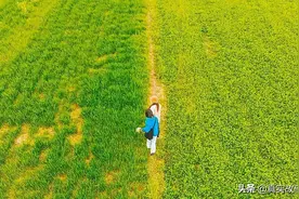 “责任面前没有眼泪”45岁单亲妈妈为供养女儿开滴滴，拼出一片天图片