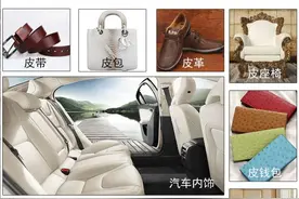 可以用鞋油给皮鞋改色吗？图片