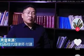 杜新枝辩护律师付建：他与刘记者是校友，两人或将联手来针对许敏图片