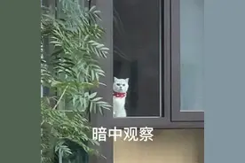 适合好姐妹日常打开话题的表情包图片