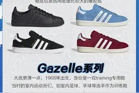 Adidas阿迪达斯全系列鞋型大汇总（三叶草篇下）图片