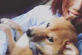 《向往的生活》即将开播，瓢哥现状引人羡慕，王珞丹将其宠上天图片