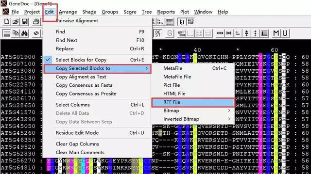 GeneDoc绘制漂亮的多重序列比对图
