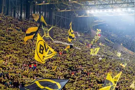 世界足坛上座人数最高的五大主场，多特蒙德高居第一图片