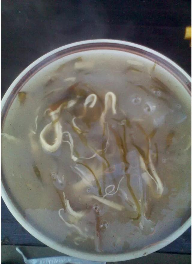 有关菏泽胡辣汤、水煎包及面泡(pāo)的记忆