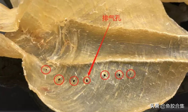 花胶 白色 2026年花胶白色一洗就变黄最简单处理