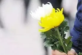 告诉眼前人，她对你很重要图片