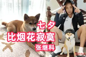 七夕节张继科自嘲单身狗，丁宁出发何方？日本大帅哥携如花美眷图片