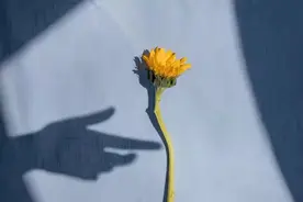 离婚多年后，男人还会想念前妻吗？3个男人说出了心里话图片