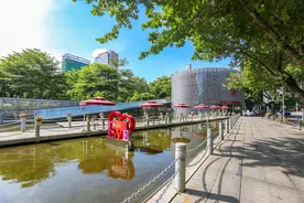 “七夕”探访深圳“五星级”婚姻登记处 新人晒证秀甜蜜图片