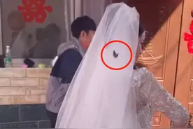 河南一女儿出嫁，一只蝴蝶飞新娘头上久未离开，父亲眼神看哭网友图片