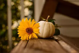 女人把你当爱人还是情人，看三点就知道了图片