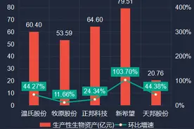 五大养猪公司上半年末生产性生物资产对比：正邦狠，新希望更狠图片