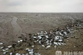 暗藏“夺命陷阱”，这个被寻宝人热捧的湖夺走两条人命………图片