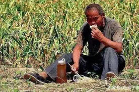 农村独生子女父母养老难问题亟待解决图片