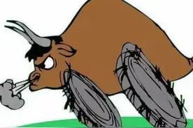 外资教越南散户第四堂课！越南股市危险了图片