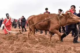 【重庆民风民俗】物质生产民俗——农耕篇图片