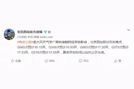 受高铁接触网挂异物影响，北京西站部分列车晚点图片